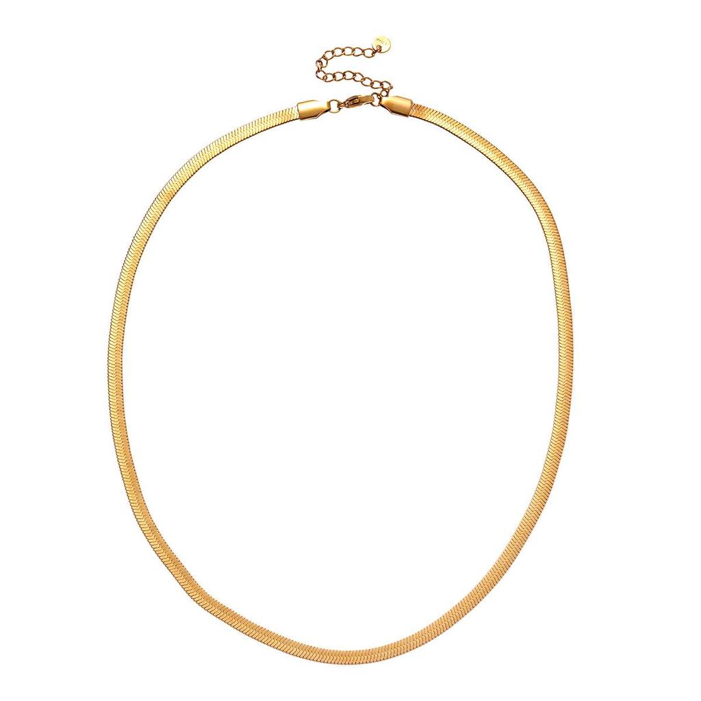 Stainless Steel Snake Chain Necklace: Elegant, Versatile Choker for Women