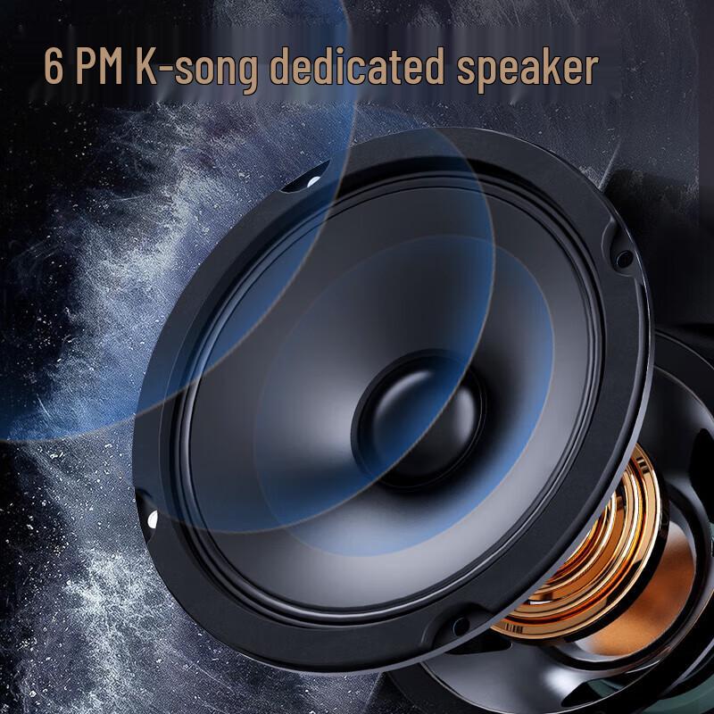 Sansui PE182 Portable Outdoor KTV Karaoke System CN Plug (adapter Included)