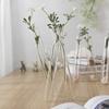 Modern 3/4 Glass Test Tube Flower Vases Plant Terrarium for DIY Florals Displays Living Room or Dining Area Desk Decors