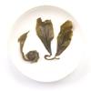 Jasmine Flower Tea Natural Jasmine Pearls Fresh Dragon Balls Green Tea