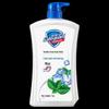 Safeguard Mint Scent Body Wash