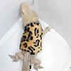 Habemega draakonivesti jalutusrihm Sisalikuvesti jalutusrihm Stiilne jalutusrihma komplekt Dragon Vest Bee Print Reguleeritav pannal hingav sisalike jaoks