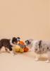 Baby Bat Crocheted Dog Toy Baby Bat Crocheted Dog Toy