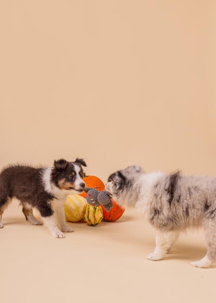 Baby Bat Crocheted Dog Toy Baby Bat Crocheted Dog Toy