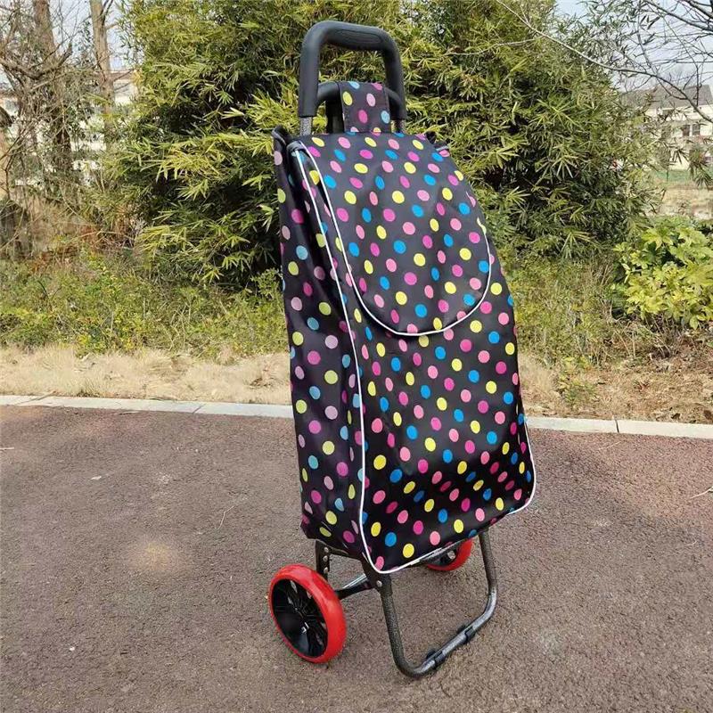 Carro Plegable Ligero para Personas Mayores - Carrito Portátil para Compras, Equipaje y Transporte