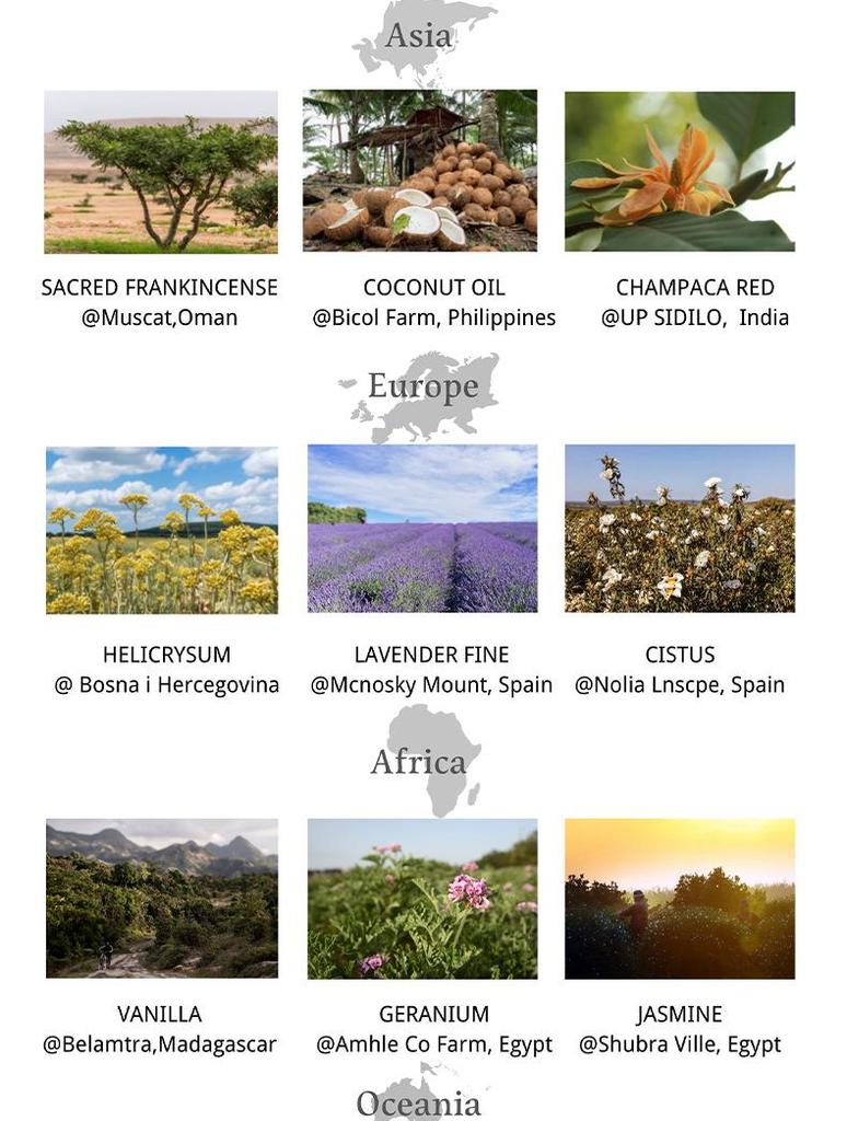 Niche Single Essential Oils & Resins - Direct Sourcing