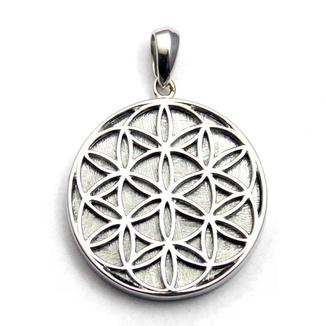 

[Carmelo Accessories] Flower of Life Divine Geometry Gibeon Meteorite Pendant in Silver 925
