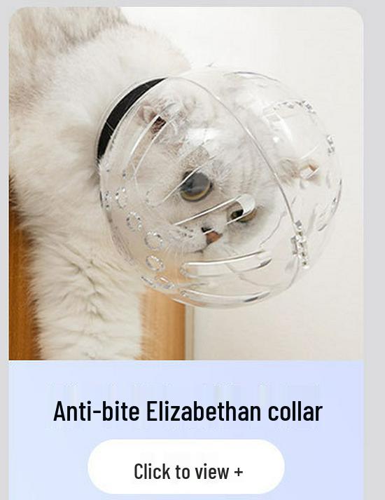 Cat Space Helmet Safety Headgear - Anti-Bite Elizabeth Collar for Pets