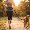 Running Belt with Leash Elastic for Jogging, Runners