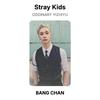 Stray Kids ODDINARY YIZHIYU Official Photocard