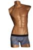 Grave Vault DOMINO Boxer Blue Low-Rise Briefs, Men's,