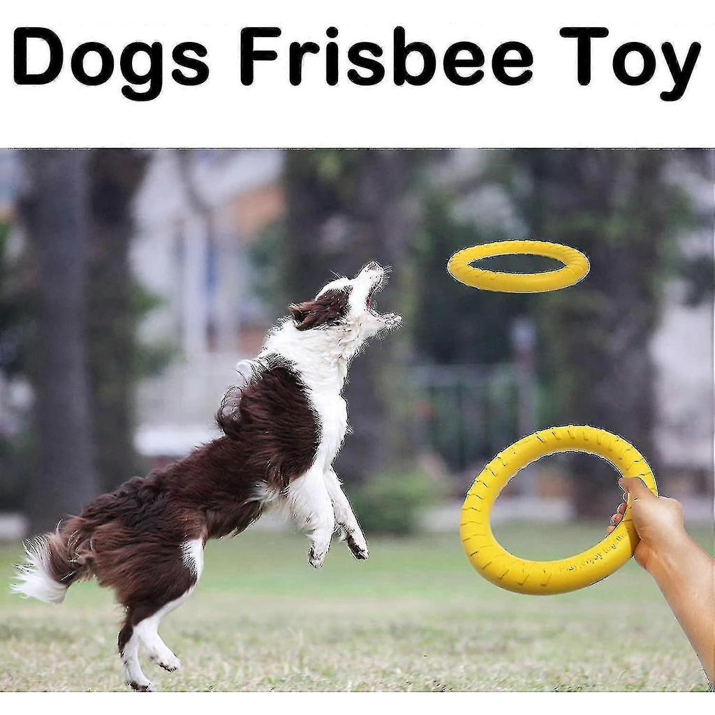 Dog Fitness Ring Dog Bite Ring Dog Training Ring,pet Dog Outdoor Game Agility Exercises