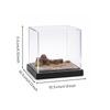 Acrylic Display Case with Dust Cover Dustproof Miniature Clear