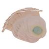 10pcs OnePiece Disposable Ostomy Bag Colostomy Bags Ostomy Ileostomy Stoma Supplies