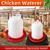 Poultry Water Heater Electric Heated Waterer With Constant Heat In Winter Cold Weather Duck Chicken Heating Drinker