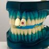 Bling Hiphop Teeth Grillz Punk Dental Grills Gift Charm Teeth Grillz  Dental Crown