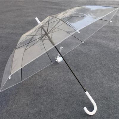 Heaven 17116E Polka Dot Transparent Straight Umbrella