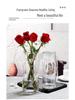 Nordic Clear Glass Vase for Lucky Bamboo - Stylish Living Room Decor & Floral Arrangements
