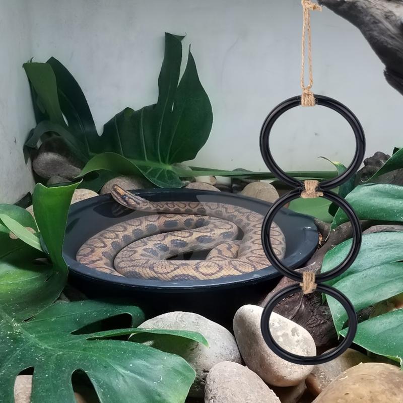 Fun Climbing Rings Snake Exercise Toy for Small Pet with Flexible Joints Safe Reptiles Terrarium Hanging Decoration Toy