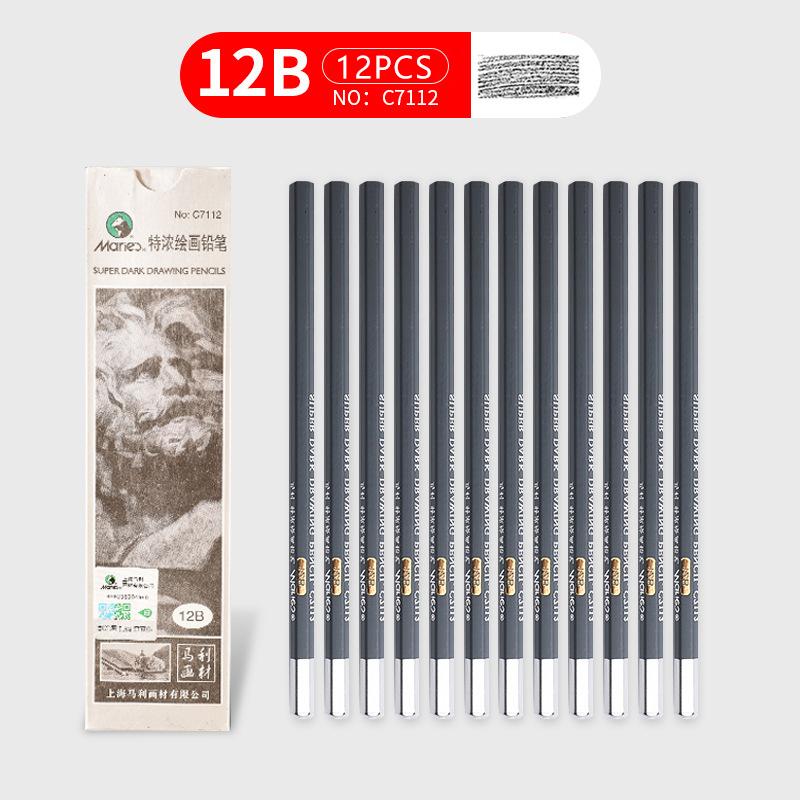 Marie's Schetspotlood Set Grafiet Tekenpotloden Kunstpotlood Set HB 2B 4B 6B Professionele Schetspotloden voor Kunstenaars