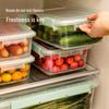 Xitianlong 15L Kunststoff-Lebensmittelaufbewahrungsbehälter