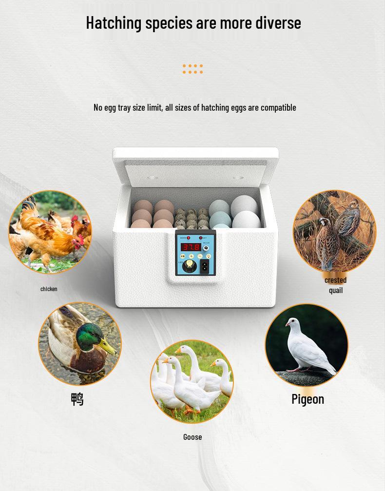 Smart Automatic Incubator for Quail, Duck, and Goose Eggs - Compact and Intelligent Hatching Machine for Home Use