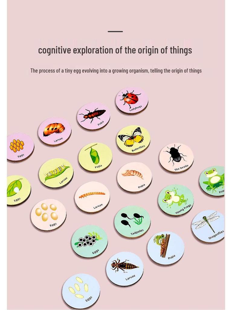 Wooden Educational Puzzle: Life Cycle Changes of Plants & Animals – Toddler Cognitive Growth Toy