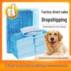Pads Urinaires pour Animaux - Épais, Désodorisant, Couches d'Entraînement pour Chien et Chat