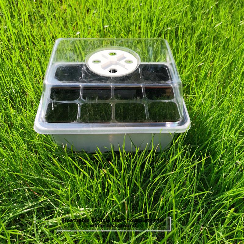 Gardening Seedling Tray Set: 6-Hole & 12-Hole Trays with Air Vents and Switchable Lids - 3 Pieces