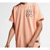 Jordan T Shirt Men's Lotus Color AO2827-814