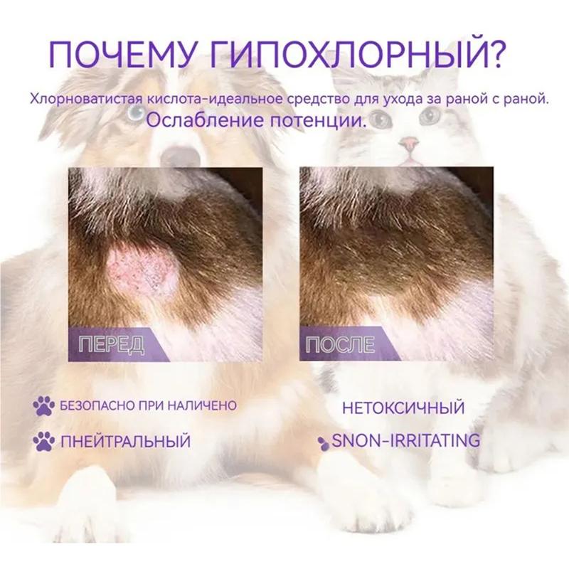 Cat Skin Care Spray 100ml Natural Formula for Itchy Skin Relief Treats Fungal Bacterial Infections