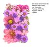 1 Set Dried Pressed Flowers Kit Colorful Natural Flowers DIY