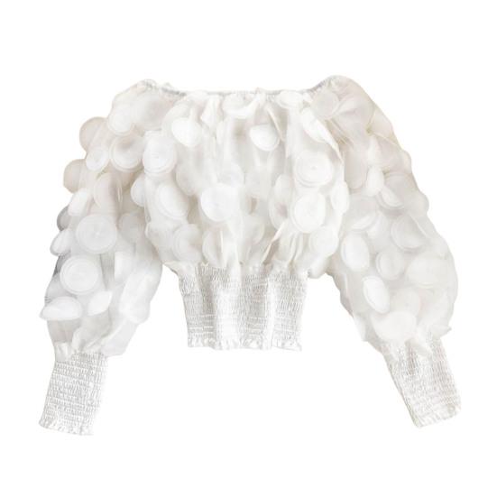 

Женские Топы С Открытыми Плечами С Пышными Длинными Рукавами С Эластичной Талией Короткие Топы Прозрачная Сетчатая Пряжа Повседневные Топы Для Вечеринки Ежедневной Носки белый