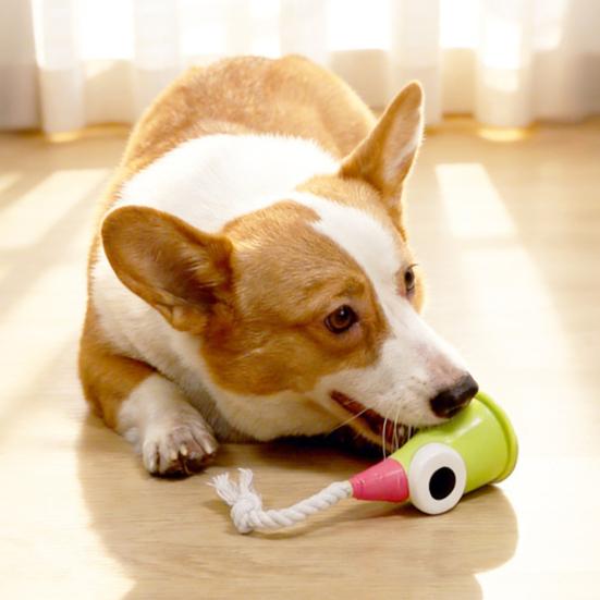 Pet Toy Soft Latex Material Sound Design Interactive Puppy Chew Toy Cartoon Design Teeth Oral Health Safe Chew Toy