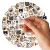 46 Pièces/Sac, Autocollants Chat, Pour Valise Skateboard Bagages Ordinateur Portable Téléphone Décoration DIY Papeterie Fournitures Scolaires Jouets