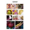 12 Pack Glitter,  Glitter Shake Jar, Multi Assorted Set Extra Fine Glitter for Resin Nail Art Crafts Tumbler Scrapbook Making