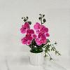 Multicolor Butterfly Orchid Artificial Flower Plastic Faux Moth Orchid Potted  Desktop Oranemnt