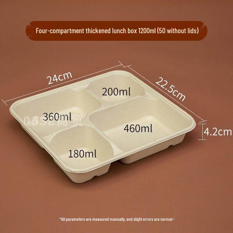 ZISIZ Biodegradable Disposable Food Container