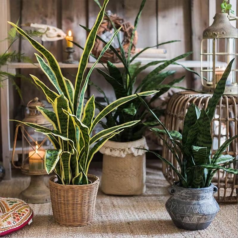 

1Pc Artificial Tiger Piran Office Plastic Shop Decor Fake Plants Garden Leaves Real Touch Tropical Home Sansevieria