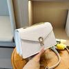 New Small Square Vintage Crocodile Pattern Chain Crossbody Bags and Bags Women Shoulder Buckle Messenger Bag
