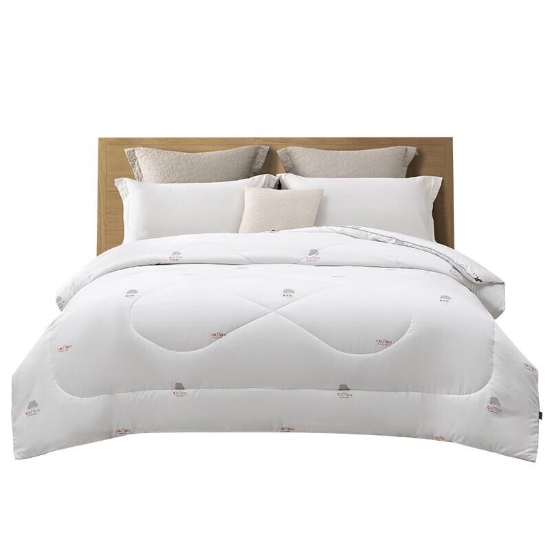 SOFTNIE Antibacterial All-Season Quilt