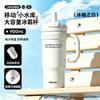 900ml Large Capacity Insulated Travel Tumbler With Handle Straw Lid Tea Infuser Car Office Gym
