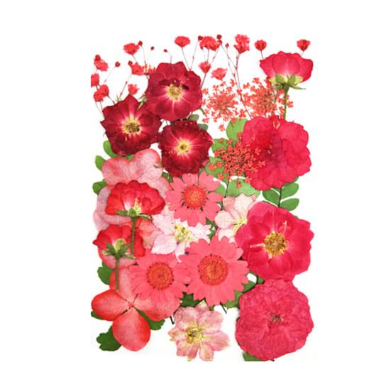 1 Set Dried Pressed Flowers Kit Colorful Natural Flowers DIY