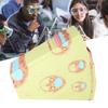Stem Model of Monocotyledons Biology Educational Teaching Model