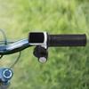 LCD Gashendel en Borstelloze Motorcontroller voor 24V tot 48V Elektrische Fietsen