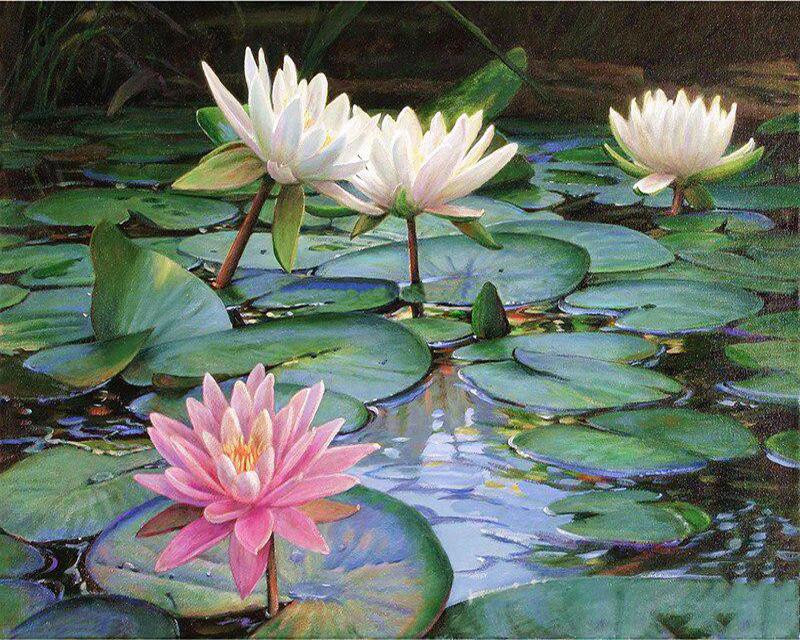 

5D алмазная живопись двор животные полная квадратная круглая алмазная вышивка полный набор акварель коричневая собака Алмазная мозаика ремесленный комплект домашний декор Full Square 20X30CM светло-синий