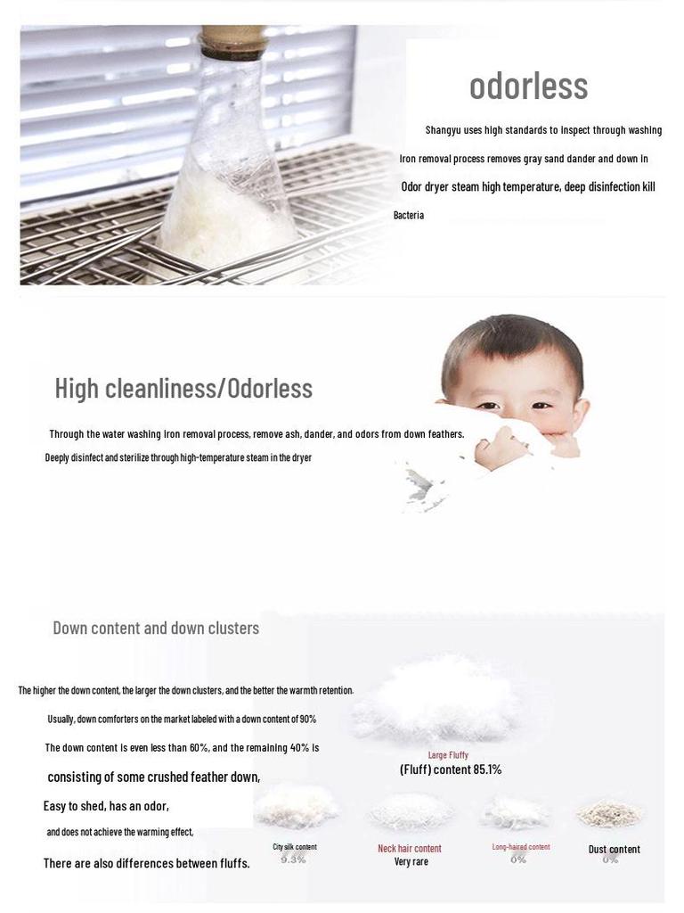 Pure White Goose Down Sheets for Sofa Pillows and Mattresses - Clean and Odorless (4-Pack)