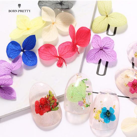 

12 решеток Сухие ногти Украшения Цветы Нарцисс Маргарита DIY Nail Art Наклейка Декор Наклейка