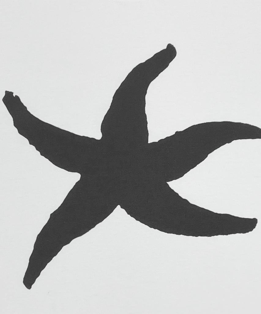 THE COLDEST MOMENT Tcm Starfish T (White)