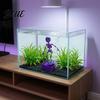 Dynamic Ornament for Shrimp Tanks Dancing Skeletons Aquarium Bubbler Decoration Halloween Skeleton Fish Tank Themed Landscaping Ornament 3D Printed